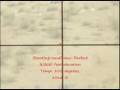 1,000 yards M1 Garand (Springfield M1D sniper rifle)