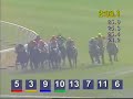 2007 Hong Kong Vase ??? 2007 Hong Kong Vase ???