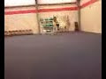 Keari Brink- Gymnastics