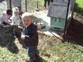 Apple picking