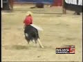 Funny cowboy monkey