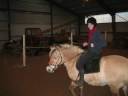 Mizling&Missemaw - The horses Mizling&Missemaw - The horses
