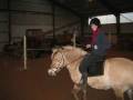Mizling&Missemaw - The horses