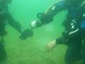 Sekt unter Wasser