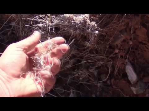 how to discover on tinder