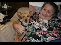 One 4 All Animal Rescue Clovis New Mexico