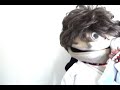 Special #2 - Phone Impressions