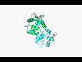 pymol.mov