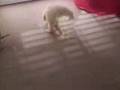 videos de Sailor +My Room = DON'T pee in my room