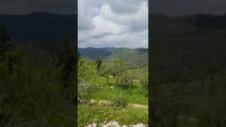 جبال القدس الغربيه خرب اللوز صوبا رأس ابو عمار عقور جبال القدس الغربيه خرب اللوز صوبا رأس ابو عمار عقور