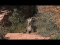 Zion National Park