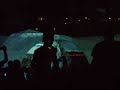 Kihira Naoki - Metamorphose 07 Planet Stage