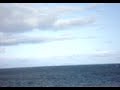 Yemeni in the Atlantic Ocean, Canada