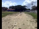 en un xr ps el jeison 400 xr