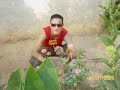 ti chou2