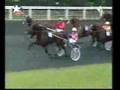 Varenne prix d'amerique 2002...febbre da cavallo in sottofon