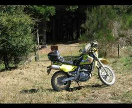 2007 DustyButt 1000