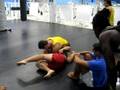 Jiu-Jitsu ACCAD