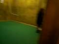 videos de Our Stupidity