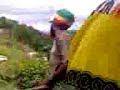 bob marley foundation tour guide