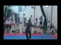Kenpo form 4