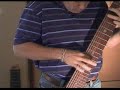 Chapman Stick