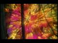 videos de zxc