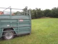 Deplacement Des Vaches Limousine
