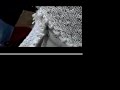 FAMILY DRESS-DO KNIT YOURSELF