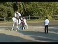 videos de Non è mai troppo tardi per il volteggio.wmv