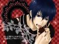 【KAITO】 Sweet's Beast (english subbed / annotation )