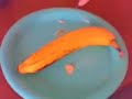 Banana Banana