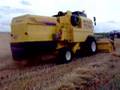 New Holland TC 56 Harvesting Video Super (Turkey) Part 2
