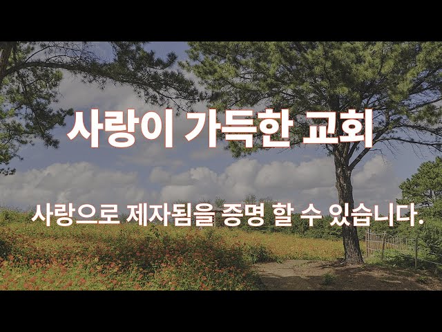 사랑이 가득한 교회(요한복음 13:34~35)