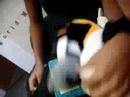penguin action in math class