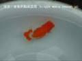 大関動画14