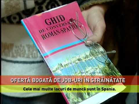 Locuri de muncă vacante, în Spațiul Economic European