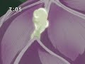 Eureka Seven Ep 41 Part 1