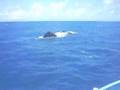 Abrolhos-2007