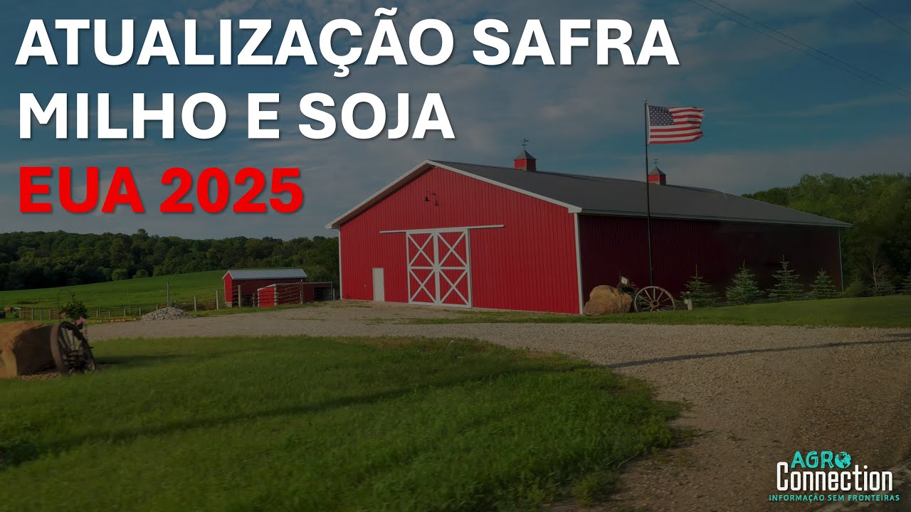Safra Soja e Milho EUA 2025 - Atualização Semanal