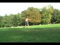 Grass Tricking -- We had a grass session last week with my teammate. I practiced my kicks a bit, my Btwists, and I tried out the Jacknife without much success. But to sum it up, it's just random shiz