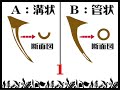 ????????2005