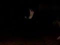 BEST DANCE EVER!!!!!!!!!!!!!!!!!!!!!!!!!! MJ UPON REQUEST ON A MEHNDI EVENT!!!!
