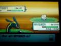 videos de shiny togepi with pokeradar