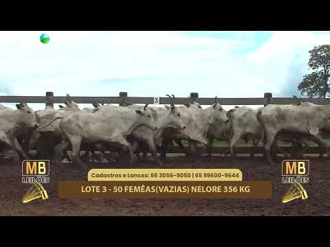 528� LEIL�O VIRTUAL MB LEIL�ES