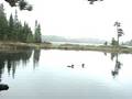 Canoe Adventure!