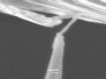 videos de GaN nanowire 3-D nanoscale manipulation