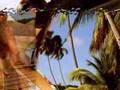 LADY-DOS-TROPICOS
