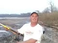 Spoonbill fishing Spoonbill fishing
