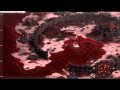 Seafight Polska CYPIS wmv